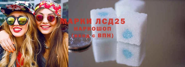 ГАЛЛЮЦИНОГЕННЫЕ ГРИБЫ Аркадак