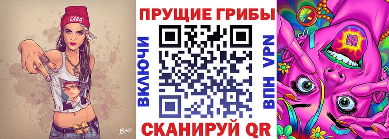 Галлюциногенные грибы MAGIC MUSHROOMS  Долгопрудный 